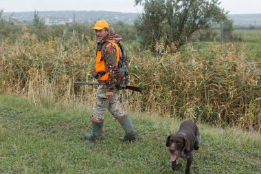 Elinde silah ve turuncu yelek olan bir adam bulutlu bir havada ormanlık alanda sülün avında. Avcı köpeklerle av peşinde.