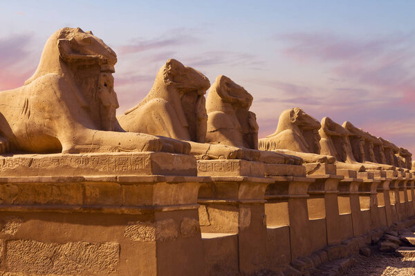 Karnak Temple sphinxes alley. The largest temple complex of antiquity in the world. UNESCO World Heritage.