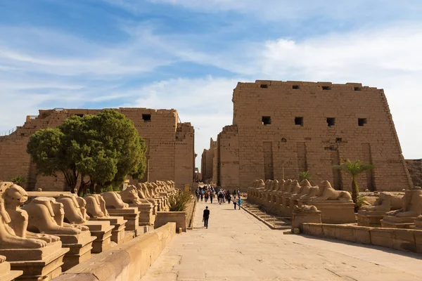 Aleja Sfinksów Świątyni Karnak Największy Kompleks Świątyń Starożytnych Świecie Światowe — Zdjęcie stockowe