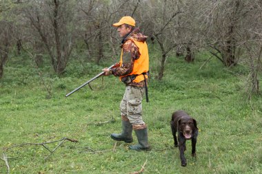 Elinde silah ve turuncu yelek olan bir adam bulutlu bir havada ormanlık alanda sülün avında. Avcı köpeklerle av peşinde.