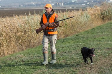 Elinde silah ve turuncu yelek olan bir adam bulutlu bir havada ormanlık alanda sülün avında. Avcı köpeklerle av peşinde.