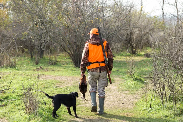 Hombre Con Arma Sus Manos Chaleco Naranja Una Cacería Faisanes — Foto de Stock