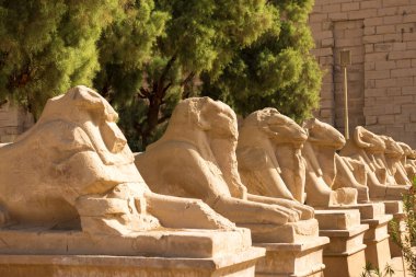 Mısır 'daki Karnak Tapınağı' nın kalıntıları (Teb). Dünyanın en büyük antik tapınak kompleksi. UNESCO Dünya Mirası.