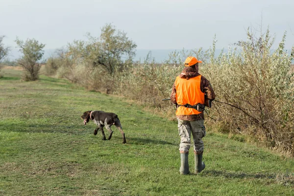 手に銃を持った男と曇りの日に森の中でキジ狩りをするオレンジのベスト ゲームを求めて犬とハンター — ストック写真