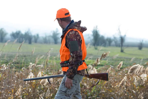 Hombre Con Arma Sus Manos Chaleco Naranja Una Cacería Faisanes — Foto de Stock