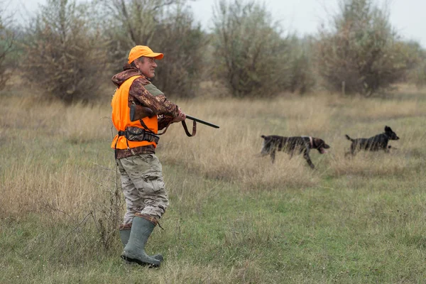 A man with a gun in his hands and an green vest on a pheasant hunt in a wooded area in cloudy weather. Hunter with dogs in search of game.