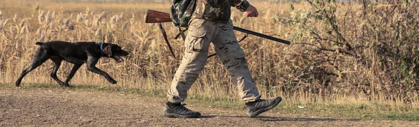 Silueta Lovce Pistolí Rákosí Proti Slunci Léčka Pro Kachny Psy — Stock fotografie