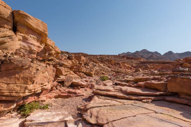Renkli Kanyon South Sinai (Mısır) Yarımadası'nda bir rock oluşumdur. Çöl kayalar çok renkli kumtaşı arka plan.