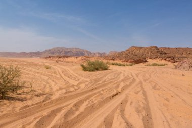 Renkli Kanyon South Sinai (Mısır) Yarımadası'nda bir rock oluşumdur. Çöl kayalar çok renkli kumtaşı arka plan.