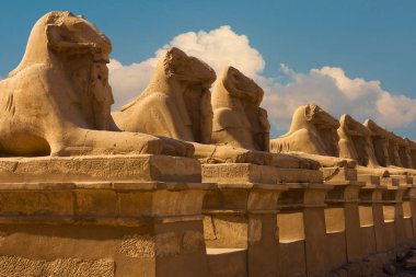 Karnak Tapınağı, Luxor, Mısır 'daki Sfenks sokağının bir parçası..