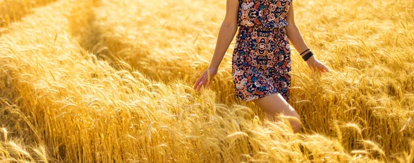 Chica Caminando Por Campo Oro Tocando Trigo Con Mano —  Fotos de Stock