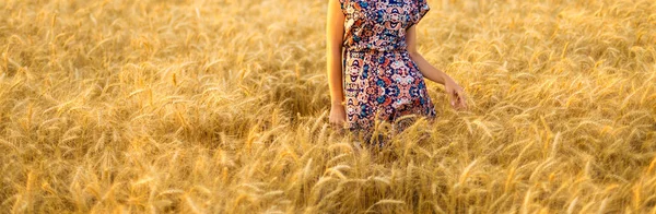 Chica Caminando Por Campo Oro Tocando Trigo Con Mano —  Fotos de Stock