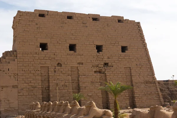 Fragment Alejki Sfinksów Świątyni Karnak Luxor Egipt — Zdjęcie stockowe