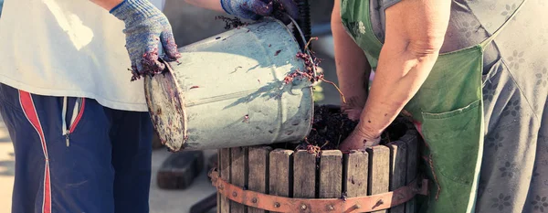 Torchio Con Mosto Rosso Vite Elicoidale Tradizionale Vecchia Tecnica Vinificazione — Foto Stock