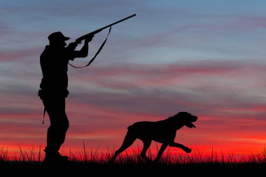 Sazlıklarda güneşe karşı silahlı bir avcının silueti. Köpekli ördekler için bir pusu.