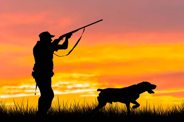 太陽に対する葦の銃を持つハンターのシルエット 犬とアヒルのための待ち伏せ — ストック写真