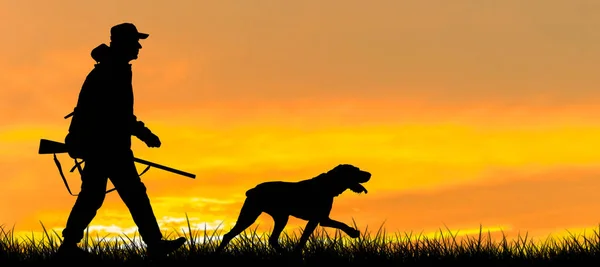 태양을 등지고 안에서 사냥꾼의 실루엣 개들이 오리를 — 스톡 사진