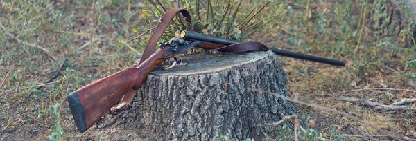 Hunting Rifle Grass Beginning Hunting Season Open Pheasant Birds — Stock Photo, Image