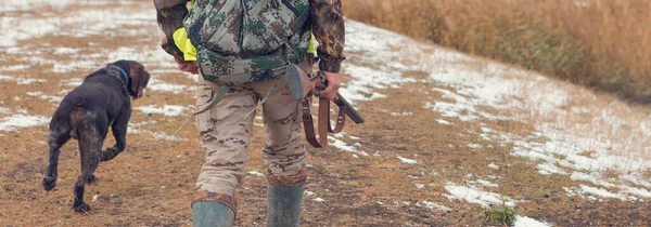 Alman Bir Drathaar Spanyel Ile Avcılar Yansıtıcı Yelek Giymiş Köpeklerle — Stok fotoğraf