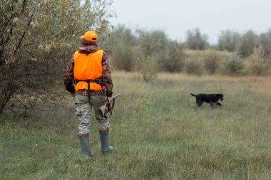 Elinde silah ve turuncu yelek olan bir adam bulutlu bir havada ormanlık alanda sülün avında. Avcı köpeklerle av peşinde.