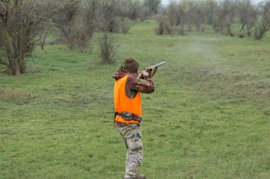 Elinde silah ve turuncu yelek olan bir adam bulutlu bir havada ormanlık alanda sülün avında. Avcı köpeklerle av peşinde.