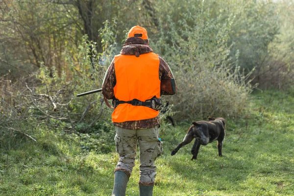 Muž Pistolí Rukou Oranžovou Vestou Lovu Bažantů Zalesněné Oblasti Zataženého — Stock fotografie