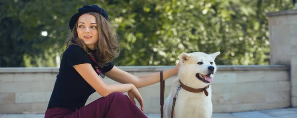 Japanische Jagdhundezucht Kisyu Schönes Porträt Eines Weißen Hundes Aus Nächster — Stockfoto