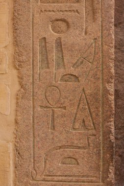 Kraliçe Hatshepsut 'un Tapınağı, Mısır' daki kaya tapınağı manzarası