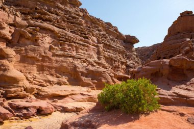 Renkli Kanyon South Sinai (Mısır) Yarımadası'nda bir rock oluşumdur. Çöl kayalar çok renkli kumtaşı arka plan.