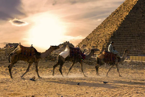 Berömda Giza Pyramiderna Sandöknen Kairo — Stockfoto