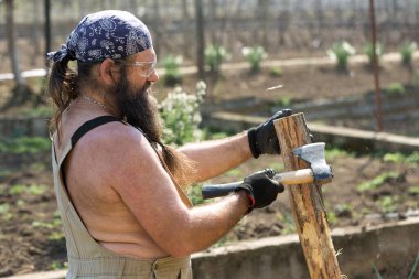 Bandanalı orta yaşlı sakallı bir adam baltayla kütük kesiyor. Tulumlu gaddar sıcak bir günde zor işi yapar..