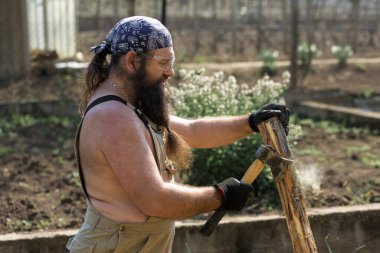Bandanalı orta yaşlı sakallı bir adam baltayla kütük kesiyor. Tulumlu gaddar sıcak bir günde zor işi yapar..