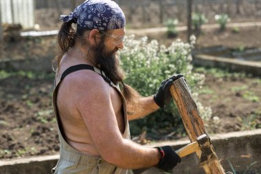 Bandanalı orta yaşlı sakallı bir adam baltayla kütük kesiyor. Tulumlu gaddar sıcak bir günde zor işi yapar..