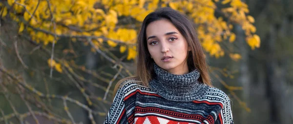 Retrato Outono Uma Menina Suéter Étnico — Fotografia de Stock