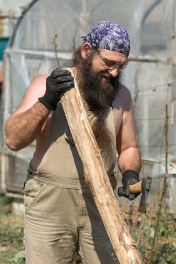Bandanalı orta yaşlı sakallı bir adam baltayla kütük kesiyor. Tulumlu gaddar sıcak bir günde zor işi yapar..