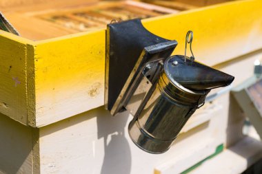 Bahçedeki özel bir arı kovanında bir sıra arı kovanı. Bal endüstrisi.