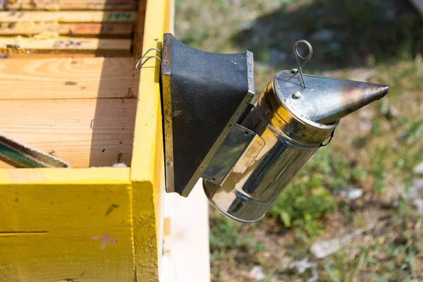 Detailní Záběr Rámu Voskovým Plástíčkem Medu Včelami Apiary Workflow — Stock fotografie