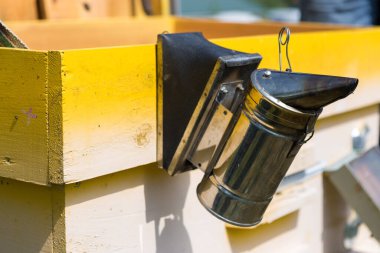 Bahçedeki özel bir arı kovanında bir sıra arı kovanı. Bal endüstrisi.