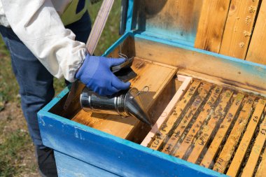 Arı kovanındaki bir çiftçi balmumu petekleriyle çerçeveleri tutar. Bal koleksiyonu için planlanmış hazırlık.