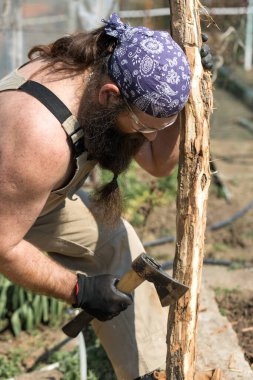 Bandanalı orta yaşlı sakallı bir adam baltayla kütük kesiyor. Tulumlu gaddar sıcak bir günde zor işi yapar..