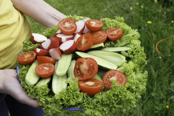 Taze sebze salatası.