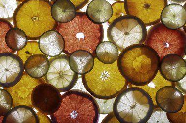 Narenciye arka plan. Narenciye türleri şeffaf dilim