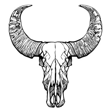 Buffalo skull-elle çizilmiş vektör çizim, üzerinde beyaz izole. Vektör çizim.