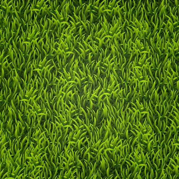 Herbe verte. Contexte naturel. Texture. Grande herbe. Herbe verte de printemps fraîche . — Image vectorielle