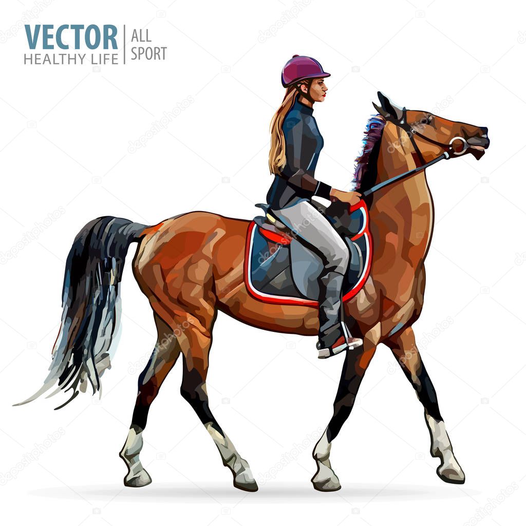 Horse with rider. Jockey on horse. Horse riding. Woman on horse. Sport. Vector illustration.