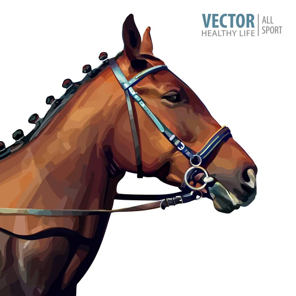 Portrait d'un étalon marron pur-sang. Tête de cheval. Champion. Du sport. Isolé sur fond blanc. Illustration vectorielle . — Image vectorielle