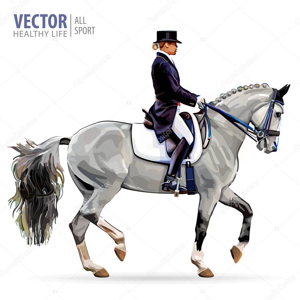 Equestrian sport. Horsewoman jockey in uniform riding horse outdoors. Dressage. Isolated on white background. Jockey on horse. Bay horse. Vector illustration.