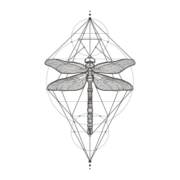 Чорний dragonfly Aeschna Viridls, ізольовані на білому тлі. Татуювання ескіз. Містичний символи і комах. Алхімія, релігія, окультизм, духовність, забарвлення книги. Мальованої Векторні ілюстрації. — стоковий вектор