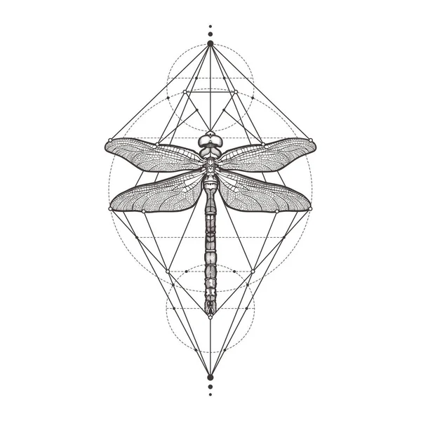 Чорний dragonfly Aeschna Viridls, ізольовані на білому тлі. Татуювання ескіз. Містичний символи і комах. Алхімія, релігія, окультизм, духовність, забарвлення книги. Мальованої Векторні ілюстрації. — стоковий вектор