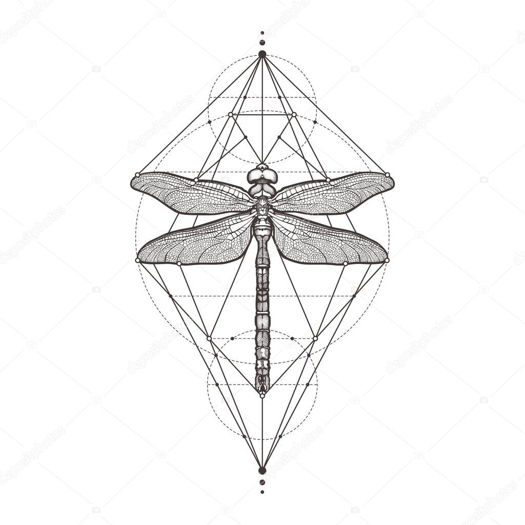 Black dragonfly Aeschna Viridls, isolated on white background. Tattoo sketch. Mystical symbols and insects. Alchemy, religion, occultism, spirituality, coloring books. Hand-drawn vector illustration.